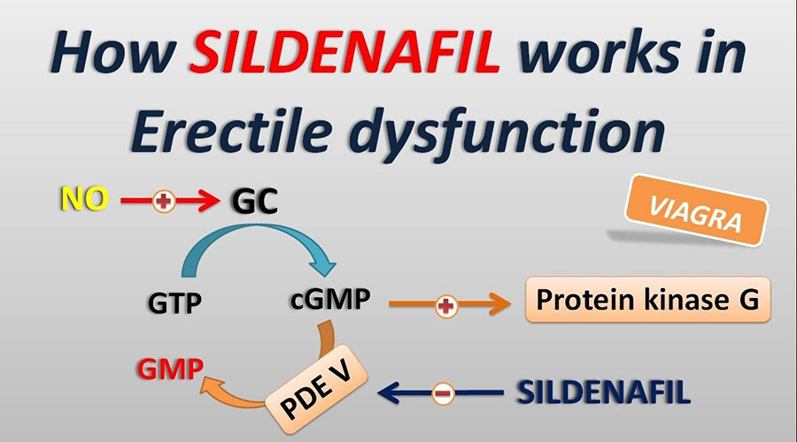 how sildenafil works for erectile dysfunction